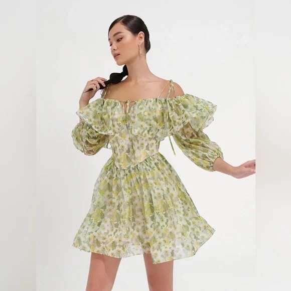 Princess Floral Dress For Love And Lemons - Picture 6 of 6